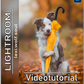 Video Training Lightroom Mobile | DEUTSCH