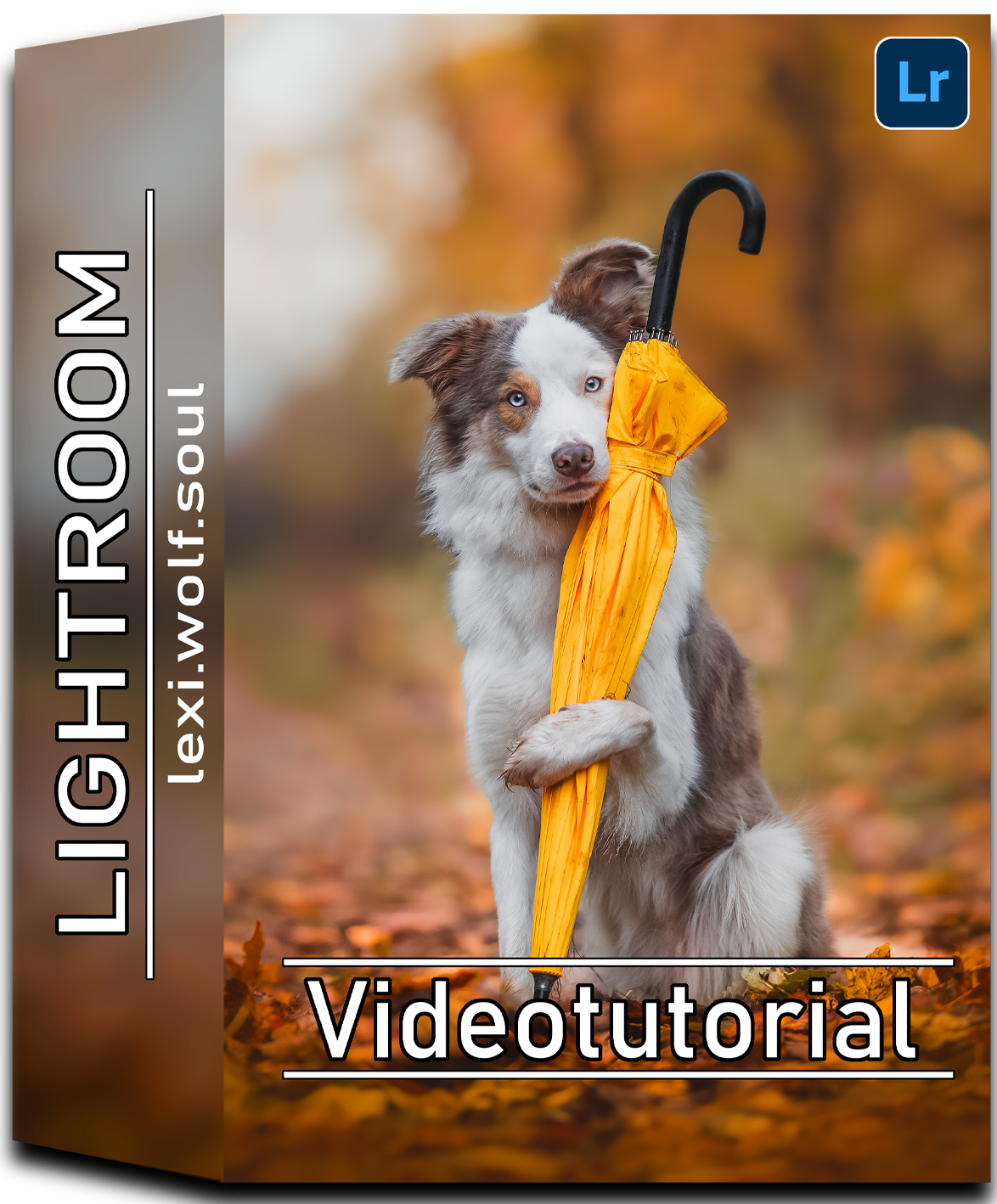 Video Training Lightroom Mobile | DEUTSCH