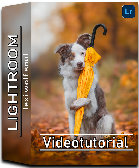 Video Training Lightroom Mobile | DEUTSCH