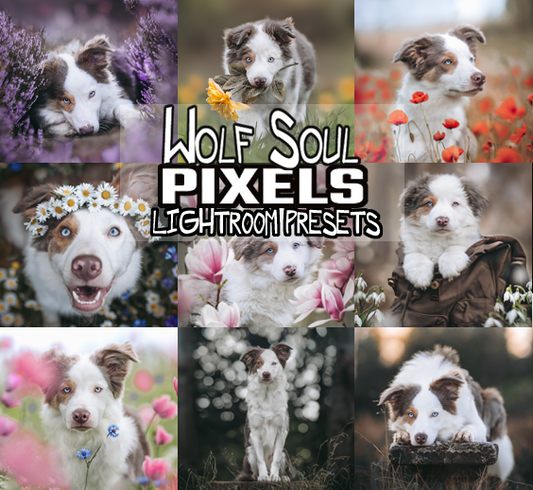 Pixels Presets Desktop Version | Dog Preset Pack pixelpawsitive & lexi.wolf.soul