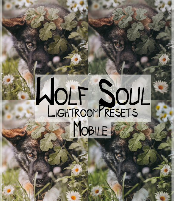 Wolfsoul Presets Mobile Version | Dog Preset Pack lexi.wolf.soul