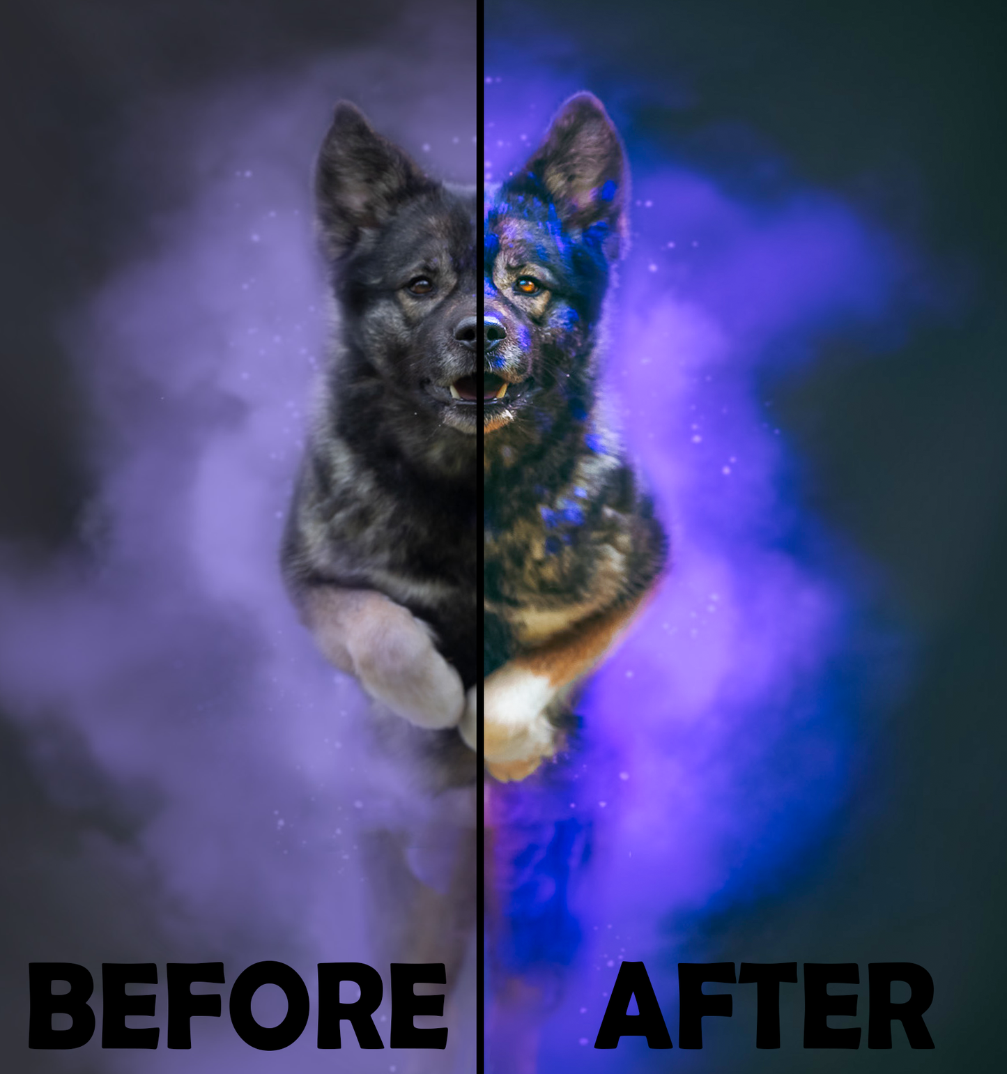 Color Splash Preset Pack Desktop Version | Dog Preset Pack lexi.wolf.soul