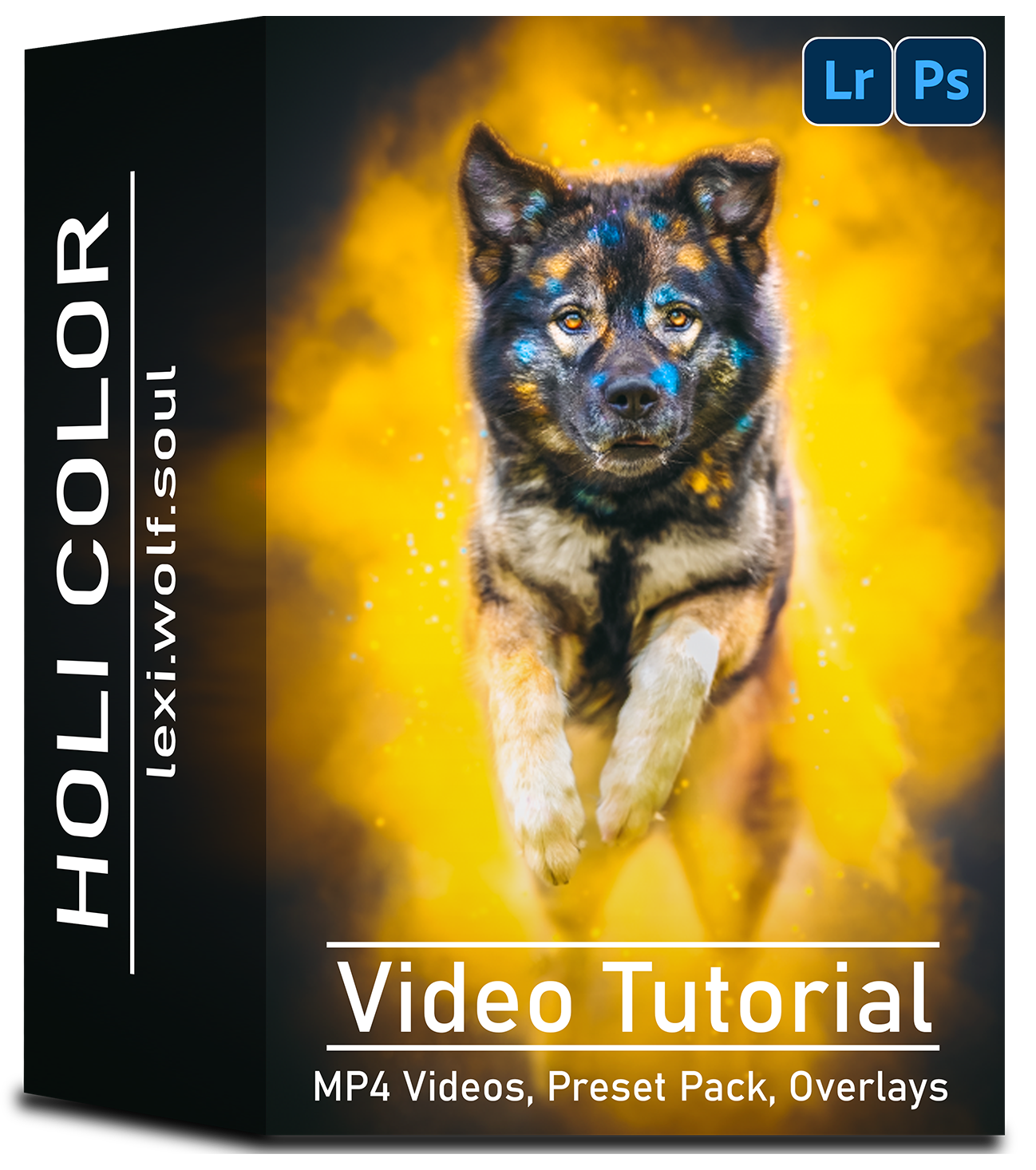 Video Training Holi-Color | DEUTSCH