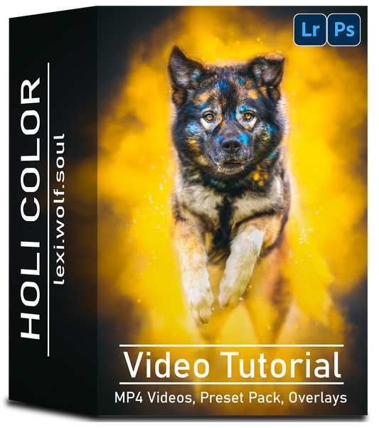 Video Training Holi-Color | DEUTSCH