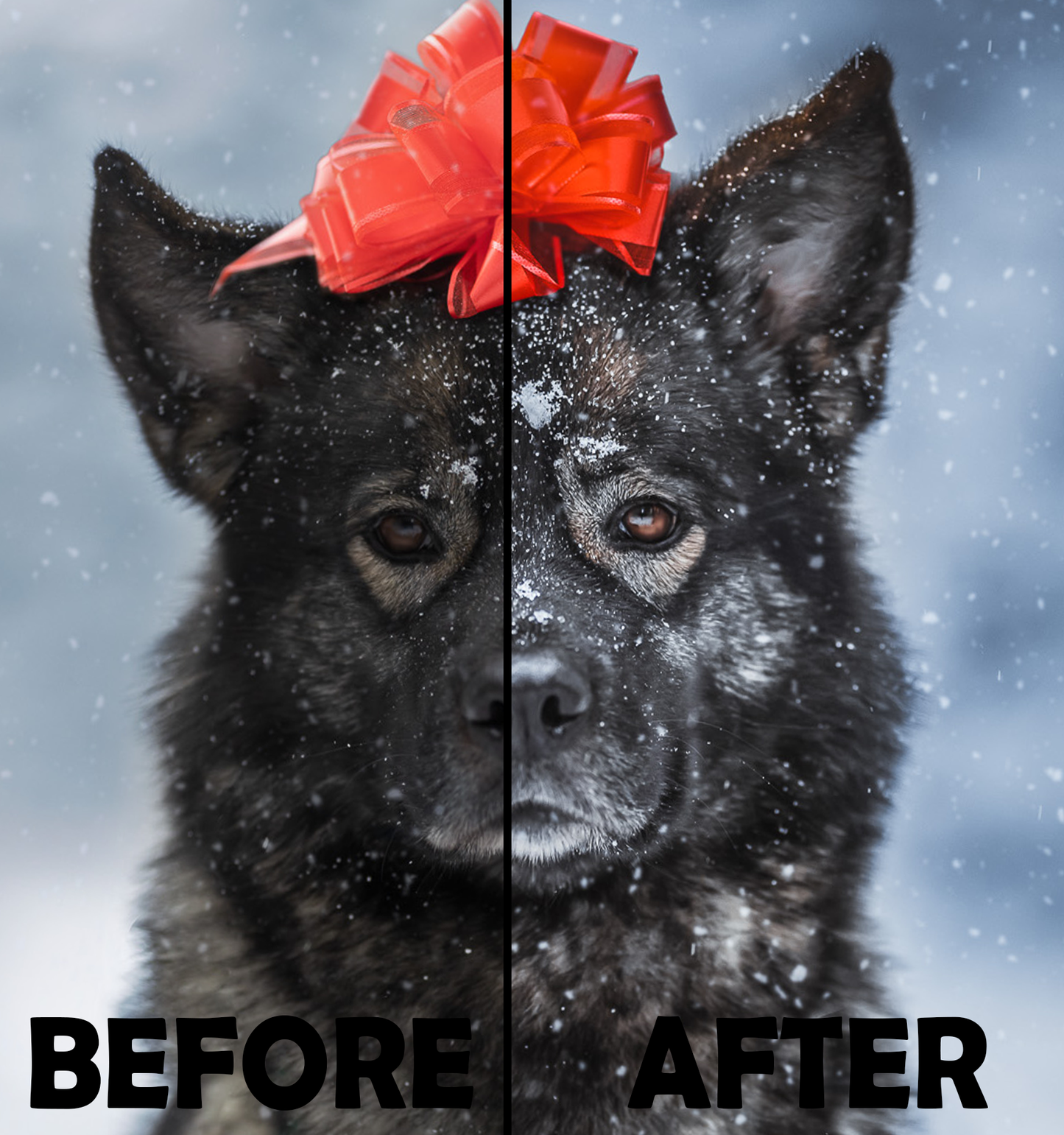 Cold Winter Presets Desktop Version | Dog Preset Pack lexi.wolf.soul