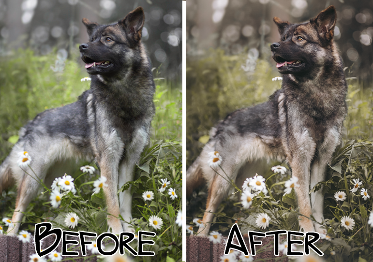 Wolfsoul Presets Desktop Version | Dog Preset Pack lexi.wolf.soul