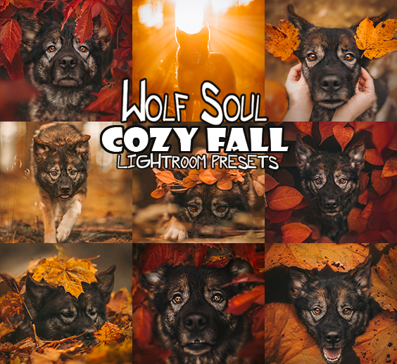 Cozy Fall Presets Desktop Version | Dog Preset Pack lexi.wolf.soul