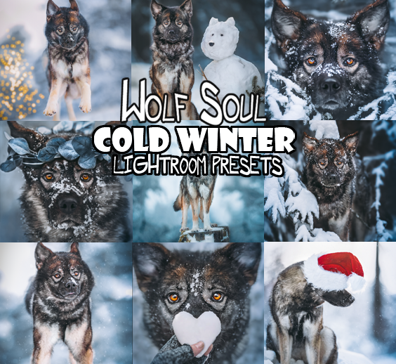 Complete Collection Preset Pack Desktop Version | Dog Preset Pack lexi.wolf.soul