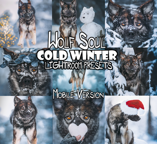 Cold Winter Presets Mobile Version | Dog Preset Pack lexi.wolf.soul