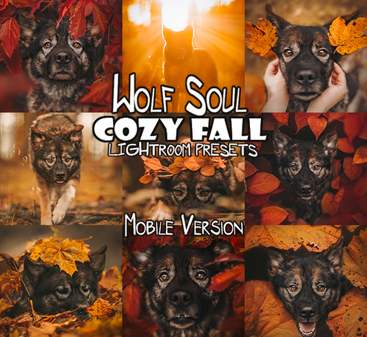 Cozy Fall Presets Mobile Version | Dog Preset Pack lexi.wolf.soul