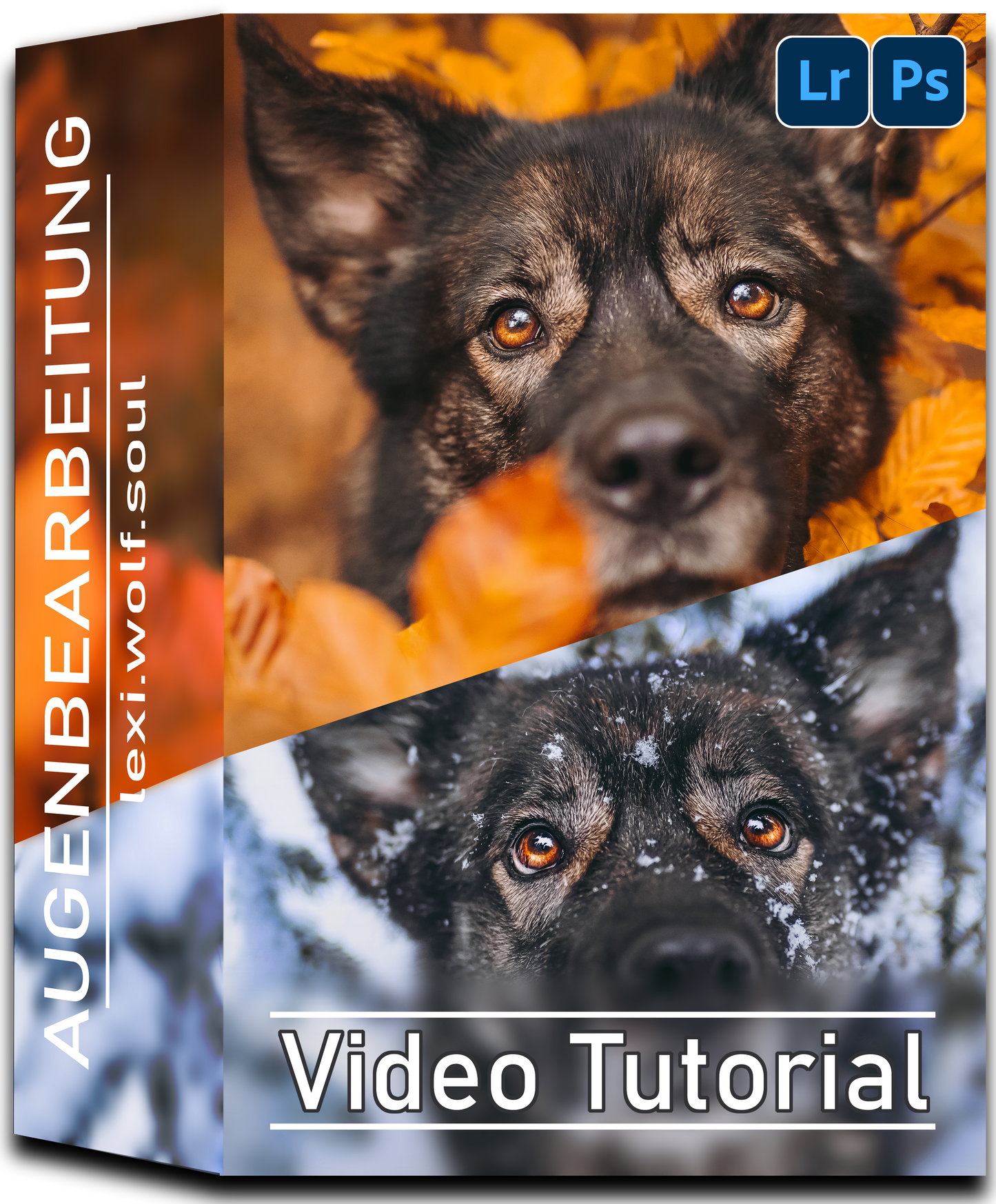 Video Training Augenbearbeitung | DEUTSCH