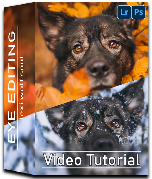 Video Training Eye Editing | ENGLISH SUBTITLES